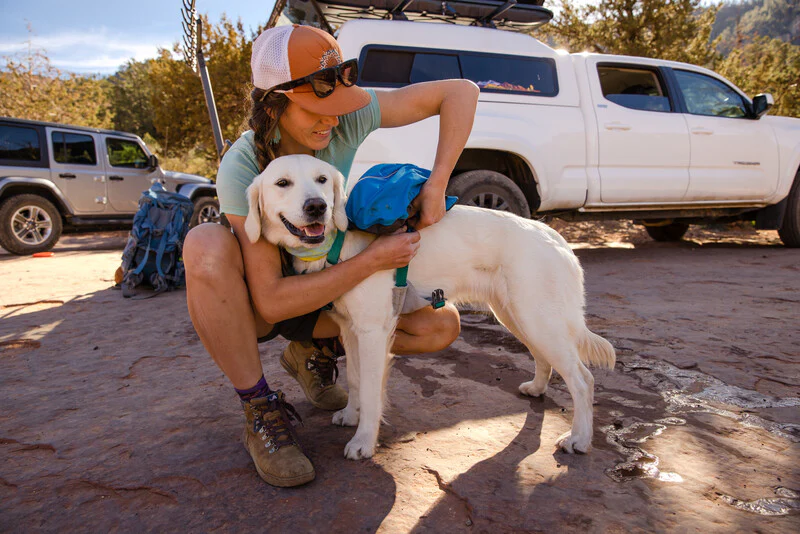 Ruffwear - Approach Pack *CLEARANCE*LAST FEW* - Image 10