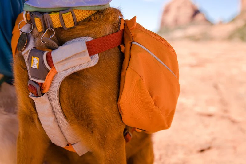 Ruffwear - Approach Pack *CLEARANCE*LAST FEW* - Image 7