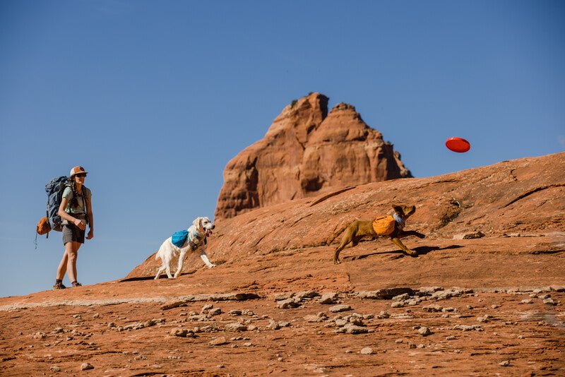 Ruffwear - Approach Pack *CLEARANCE*LAST FEW* - Image 9
