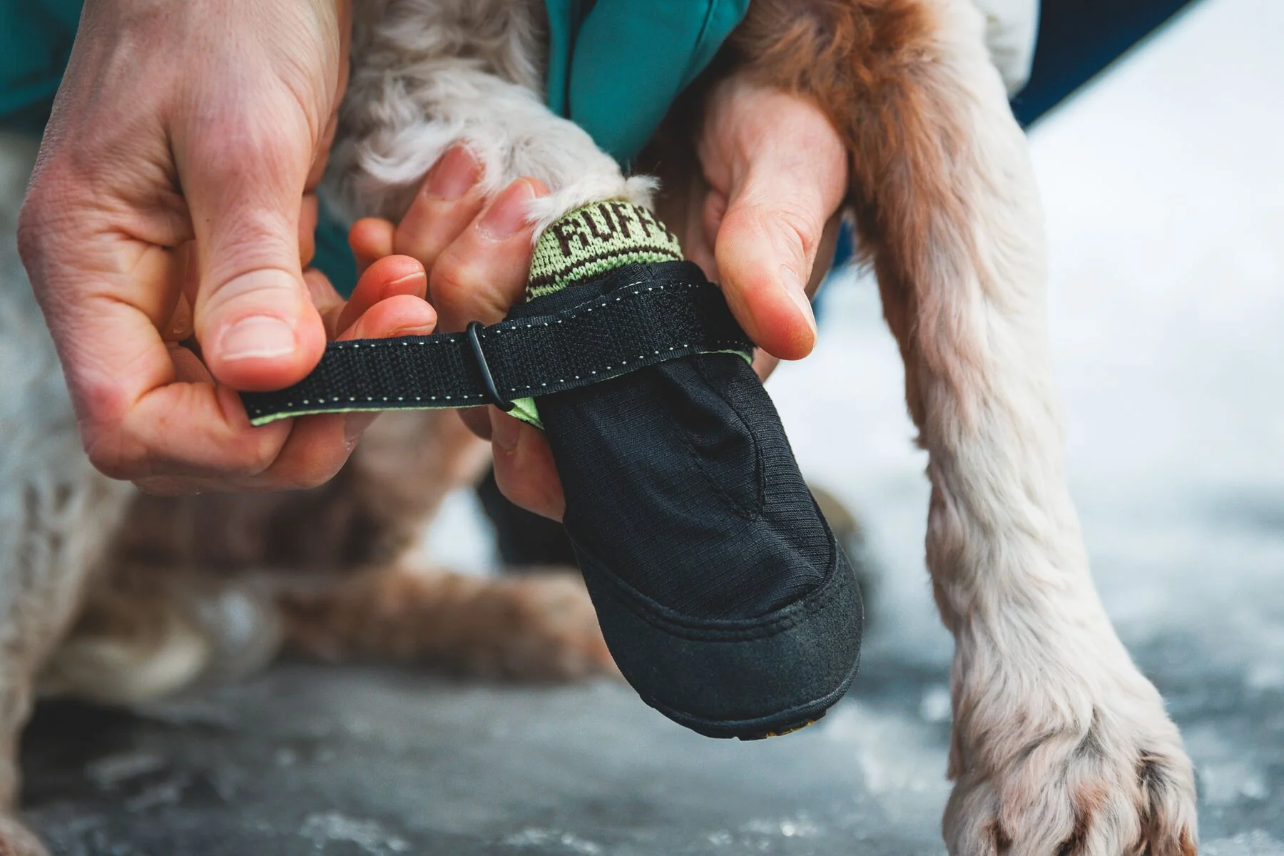 Ruffwear - Bark'n Boot Socks - set of 4 - Image 3