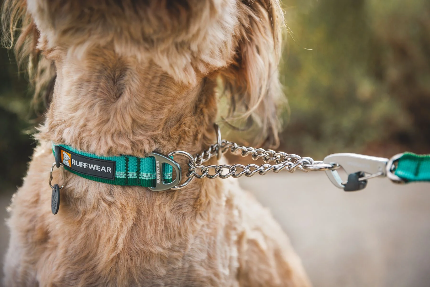 Ruffwear - Chain Reaction Collar - Image 4