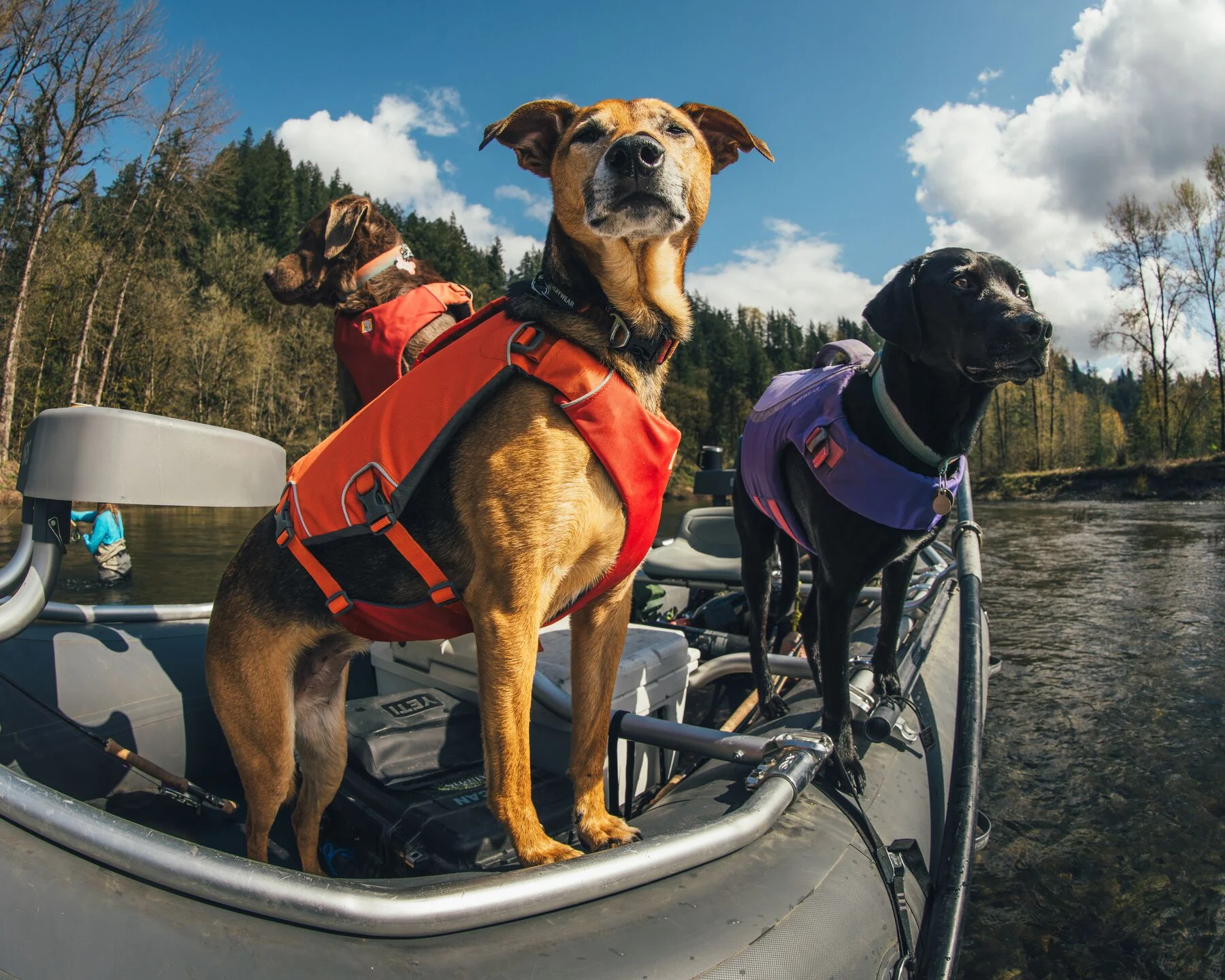 Ruffwear - Confluence Life Jacket - Image 3