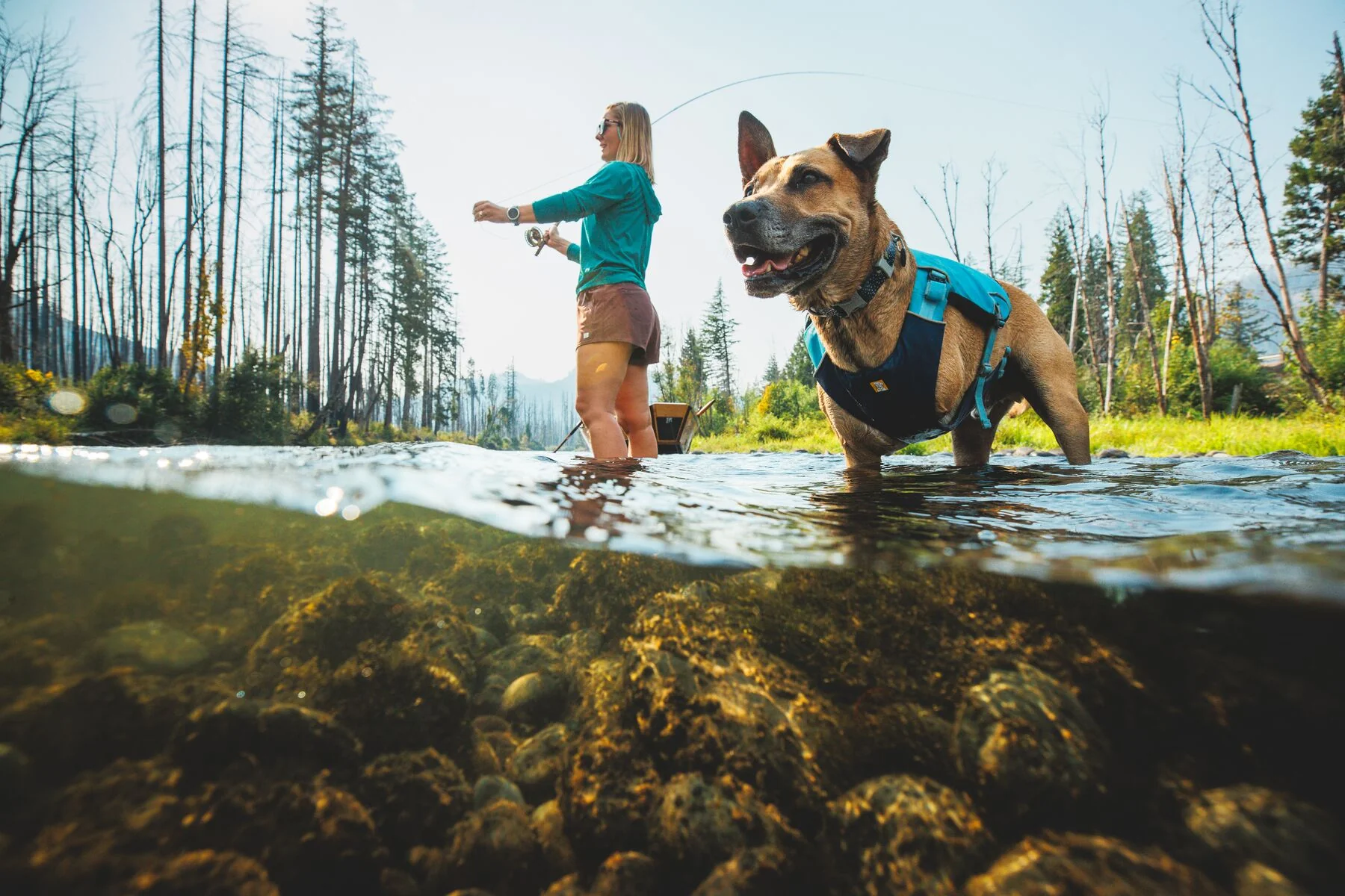 Ruffwear - Confluence Life Jacket - Image 9