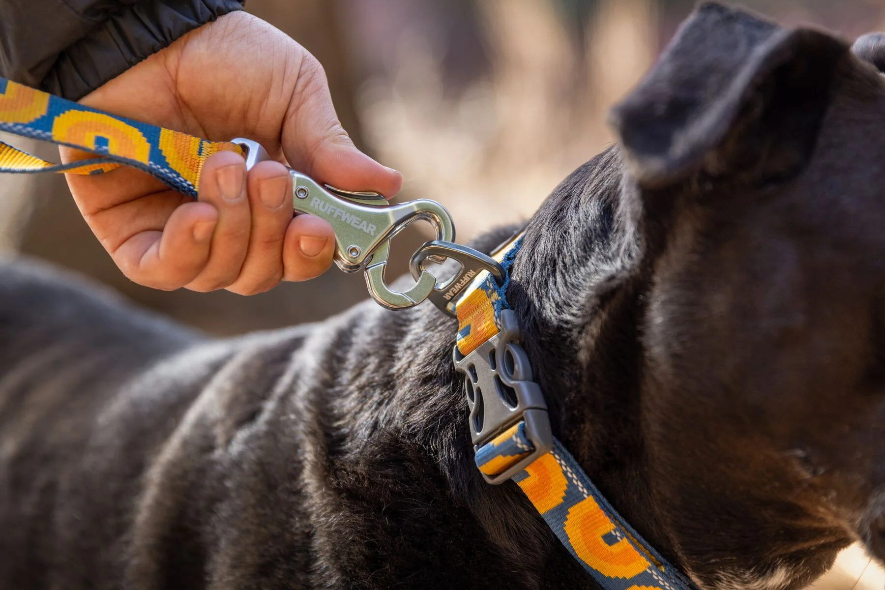 Ruffwear - Crag Collar - Image 5