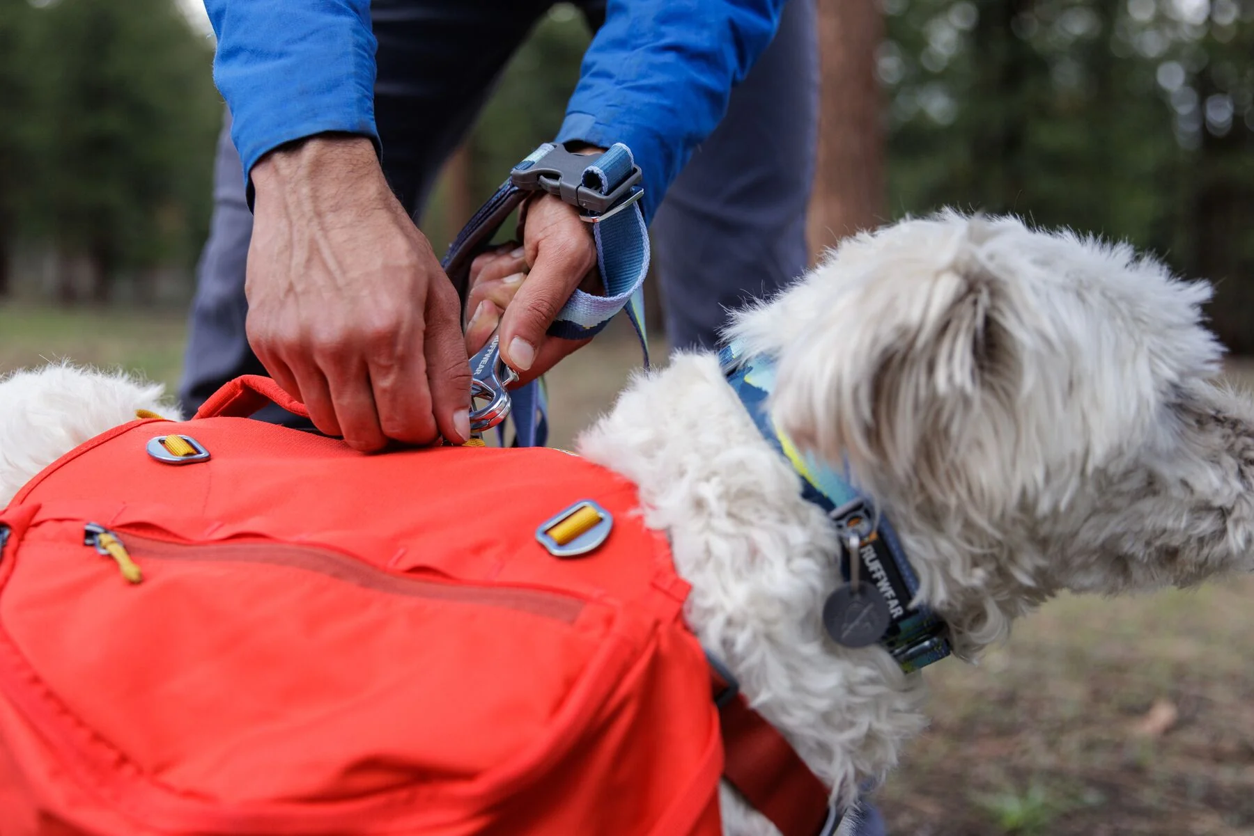 Ruffwear - Crag Collar - Image 6