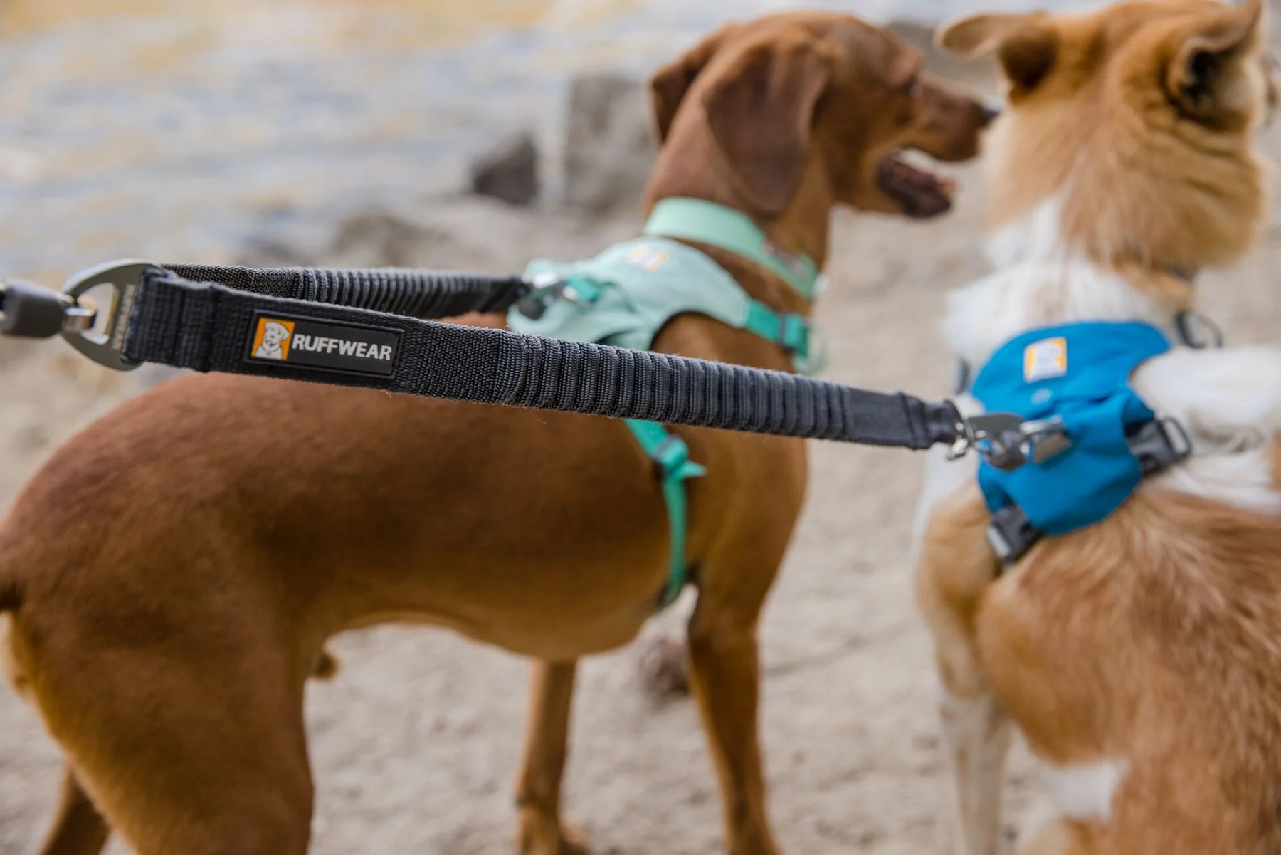 Ruffwear - Double Track Coupler - Image 3