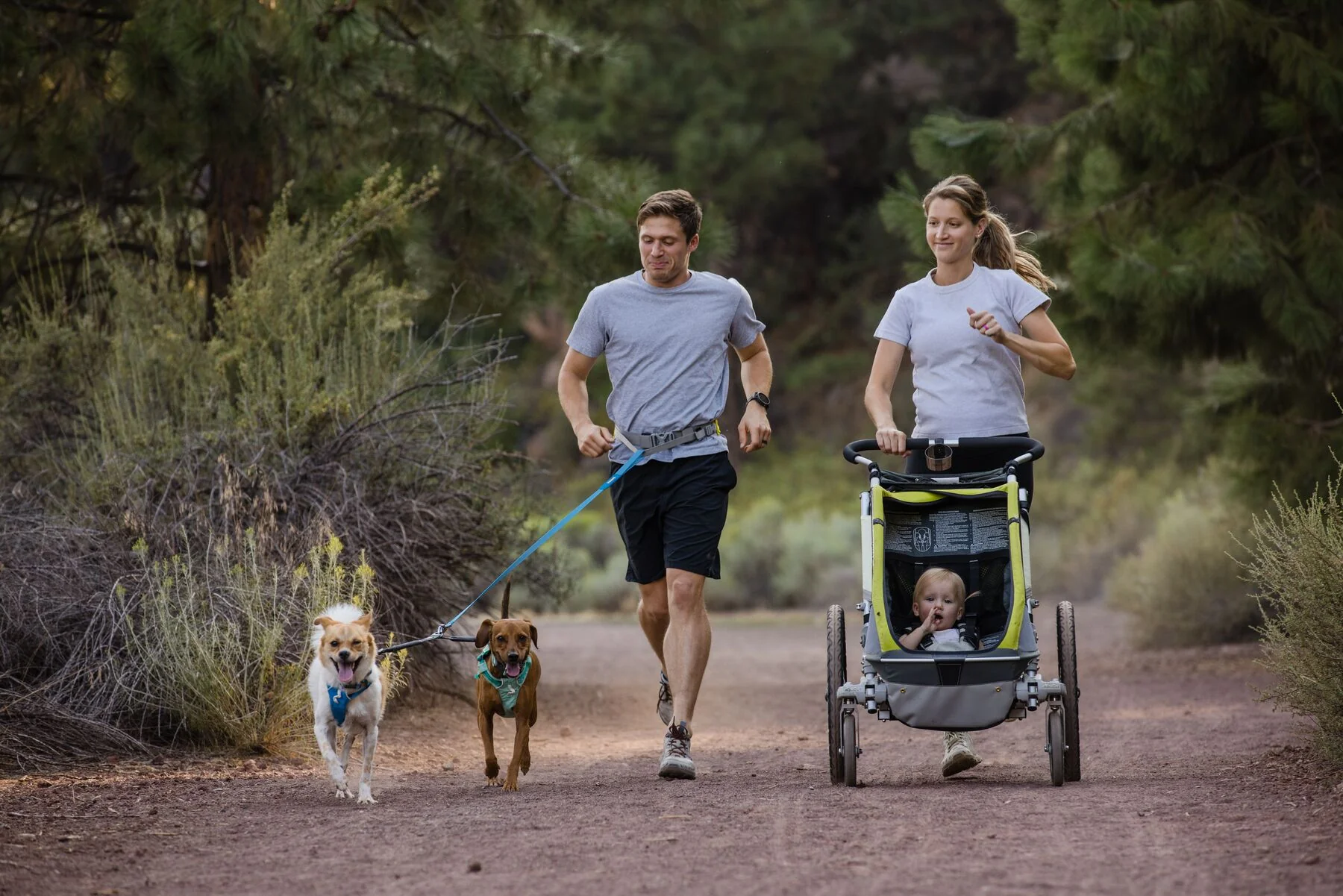 Ruffwear - Double Track Coupler - Image 5