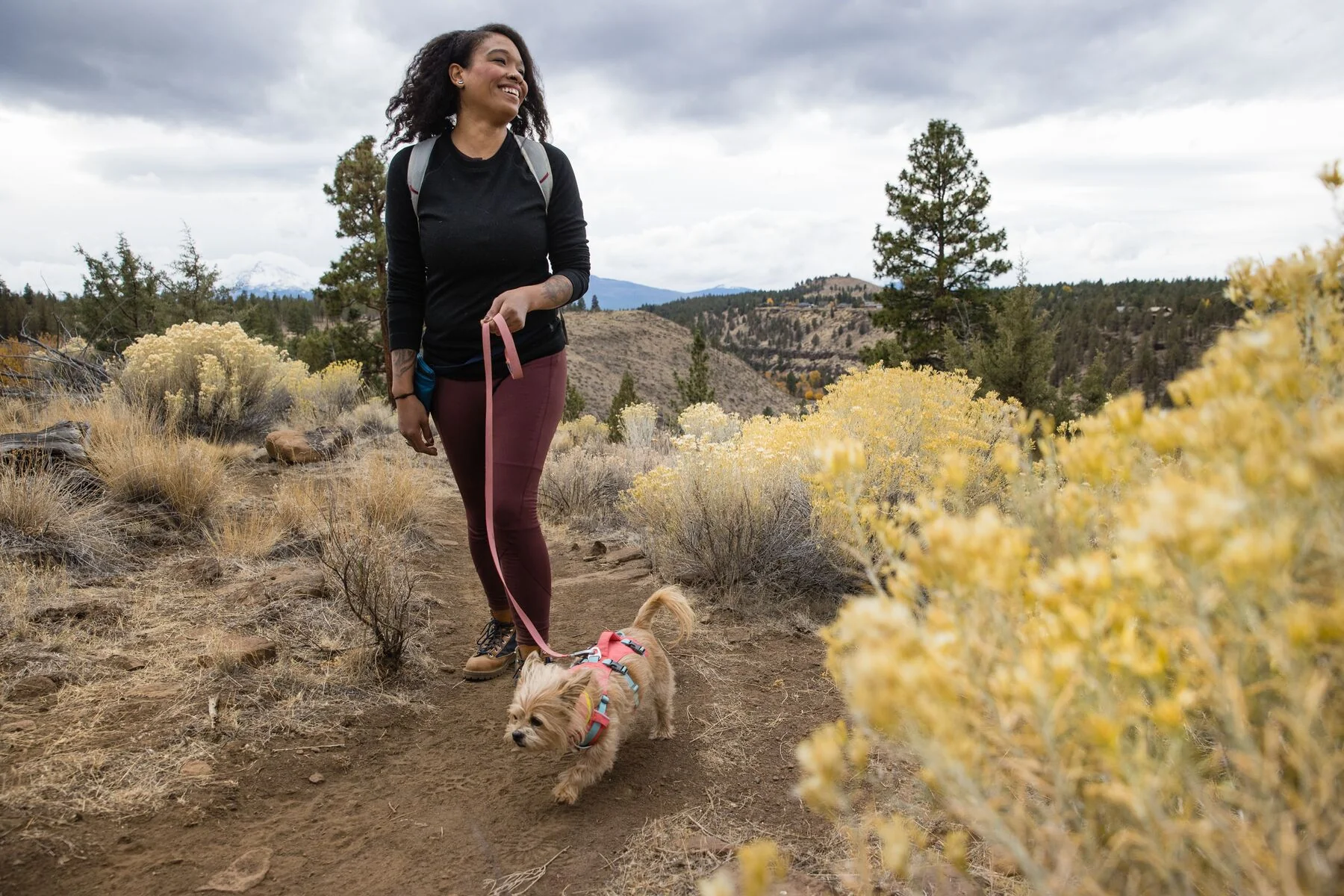 Ruffwear - Flagline Harness - Image 12