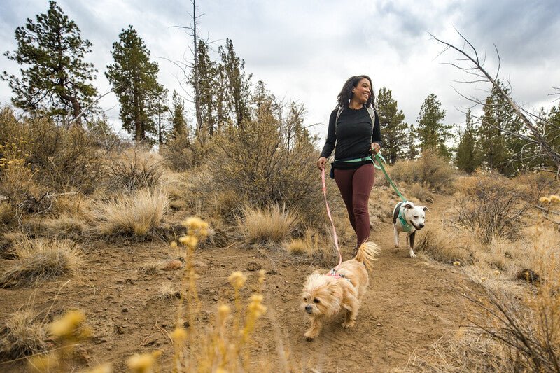 Ruffwear - Flagline Leash - Image 5