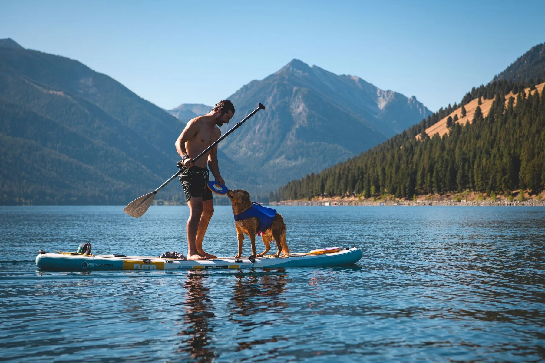 Ruffwear - Float Coat Life Jacket - Image 7