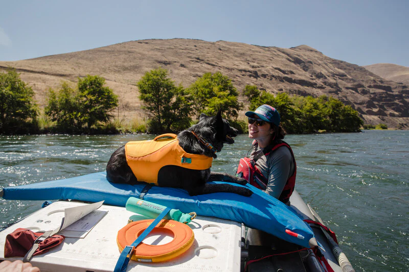 Ruffwear - Float Coat Life Jacket - Image 9
