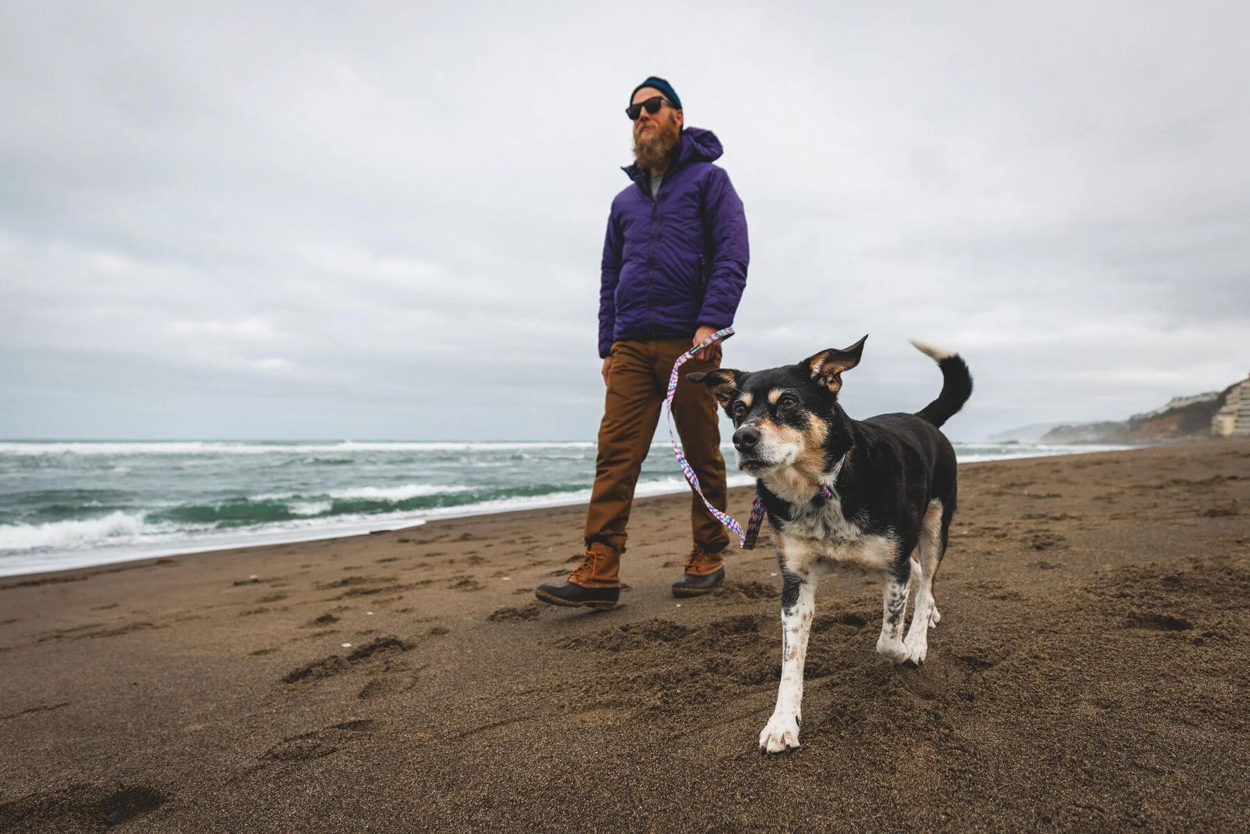 Ruffwear - Front Range Collar - Patterned Designs - Image 5