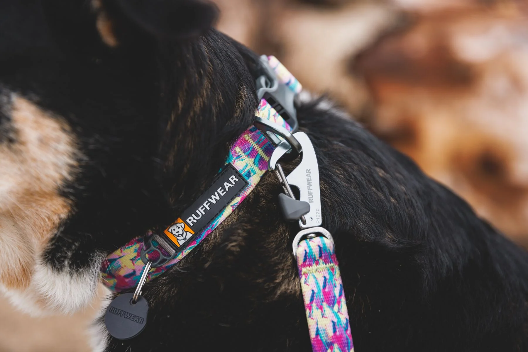 Ruffwear - Front Range Collar - Patterned Designs - Image 7