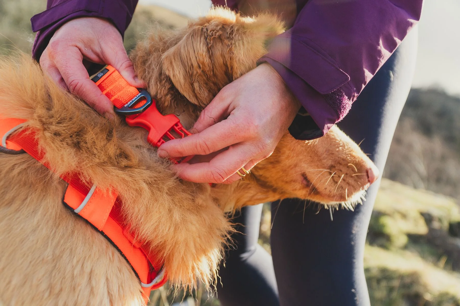 Ruffwear - Front Range Collar - Image 7