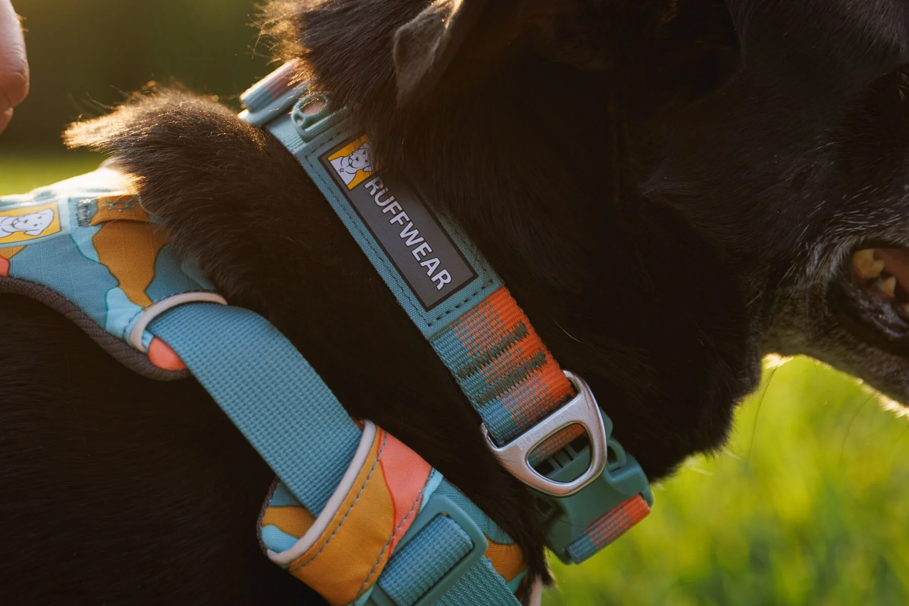 Ruffwear - Front Range Collar - Image 6