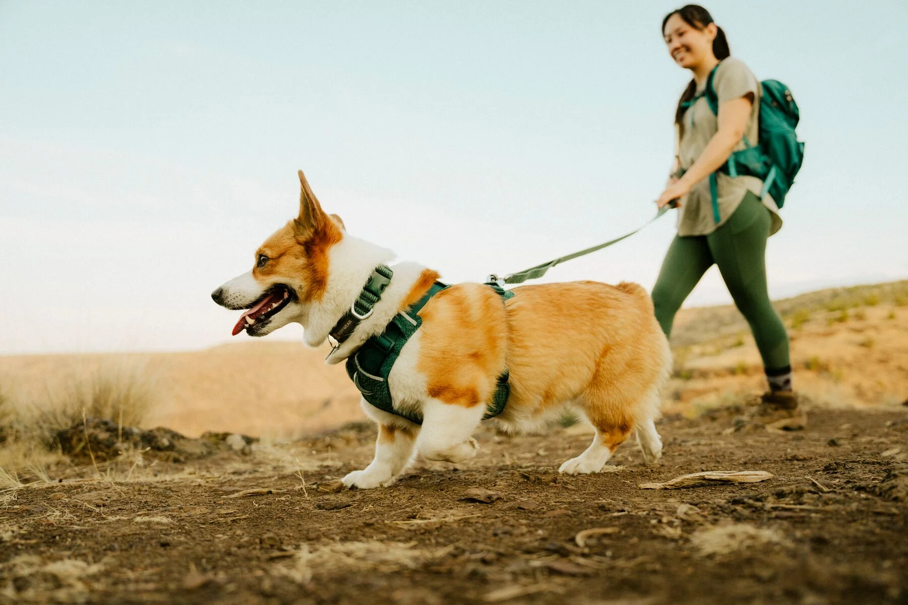 Ruffwear - Front Range Flex Collar - Image 11