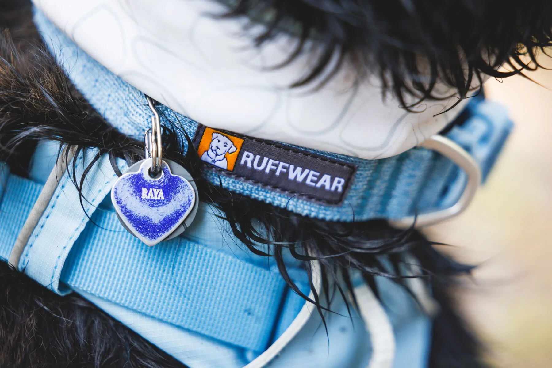Ruffwear - Front Range Flex Collar - Image 8