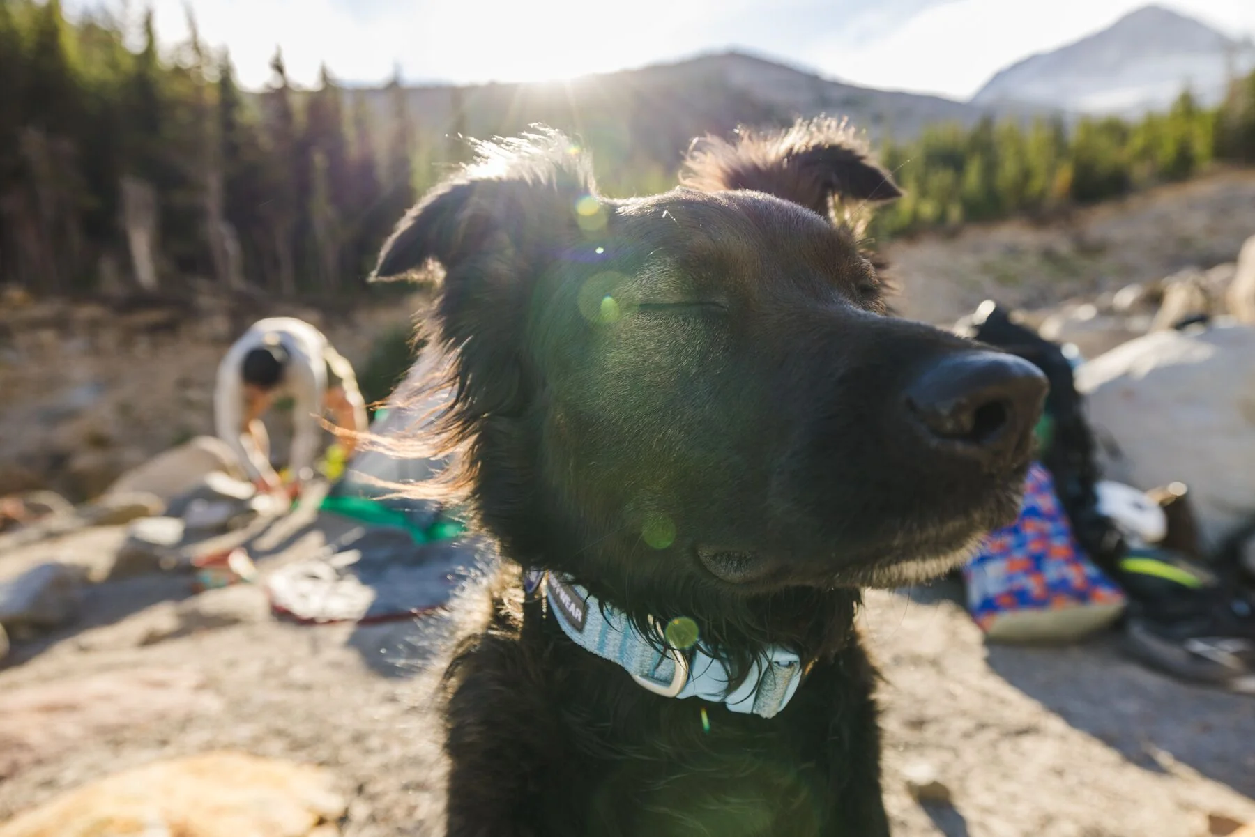 Ruffwear - Front Range Flex Collar - Image 9