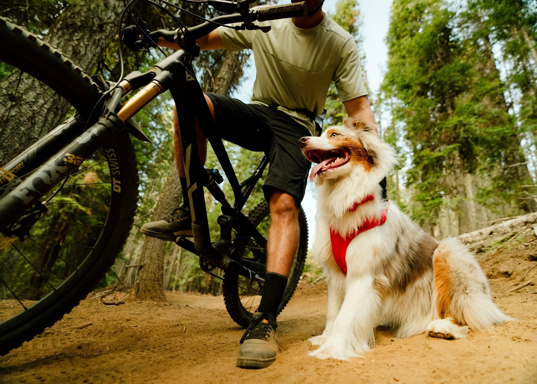 Ruffwear - Front Range Flex Harness - Image 10
