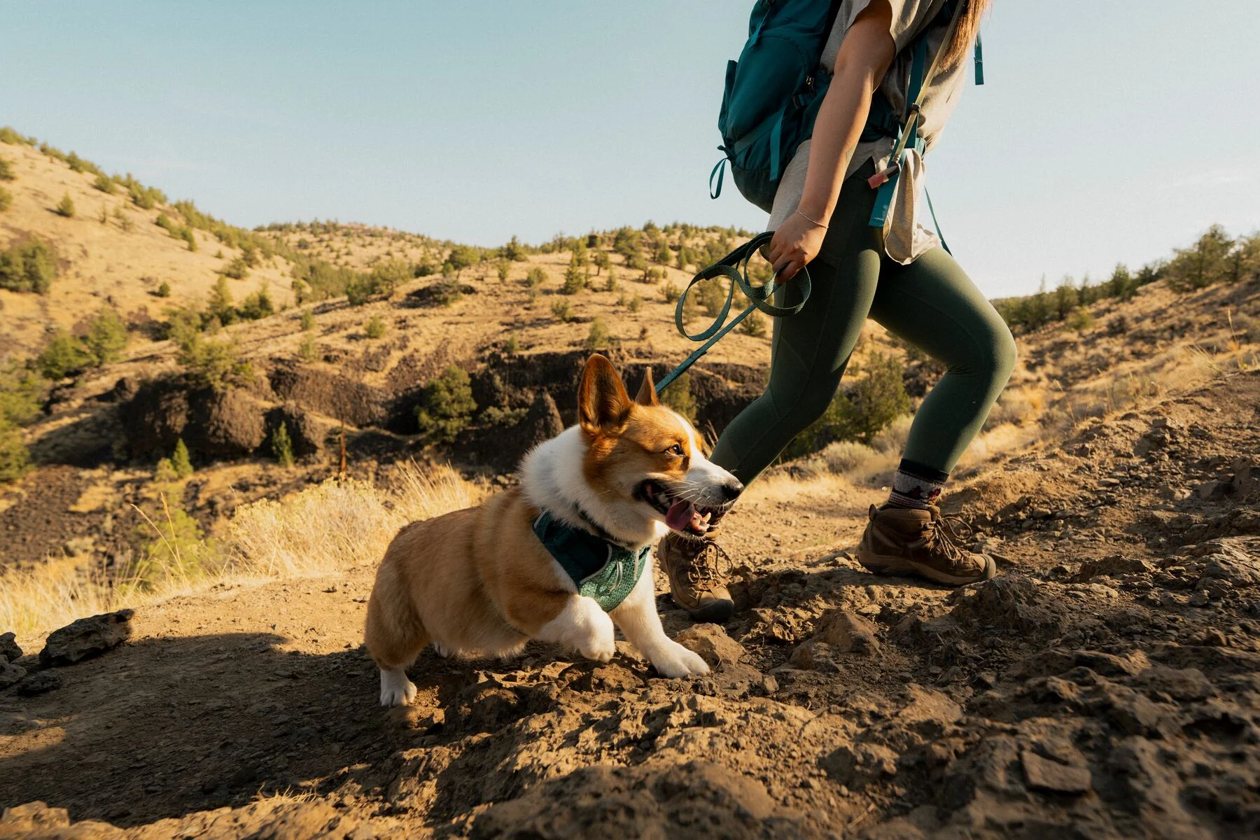 Ruffwear - Front Range Flex Harness - Image 14