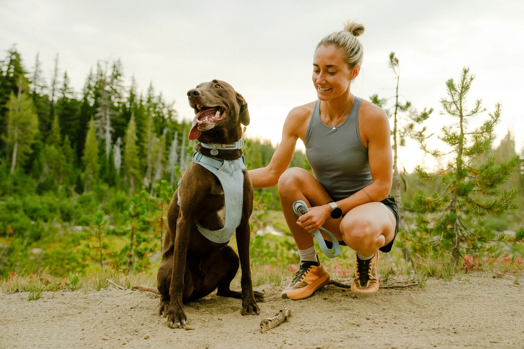 Ruffwear - Front Range Flex Harness - Image 9
