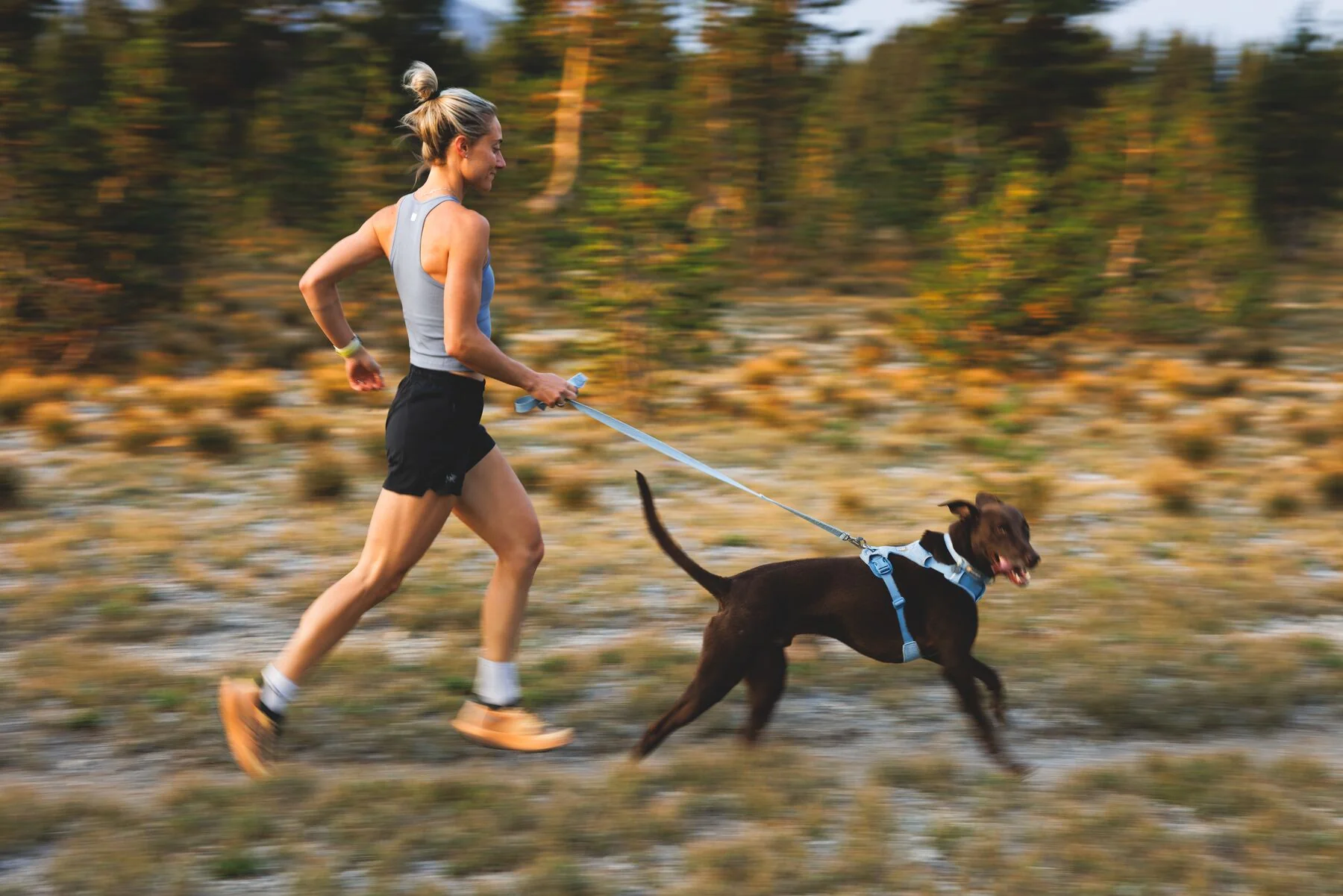 Ruffwear - Front Range Flex Leash - Image 10