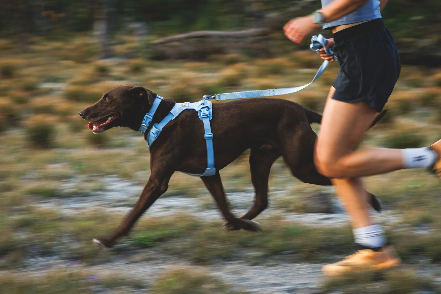 Ruffwear - Front Range Flex Leash - Image 11