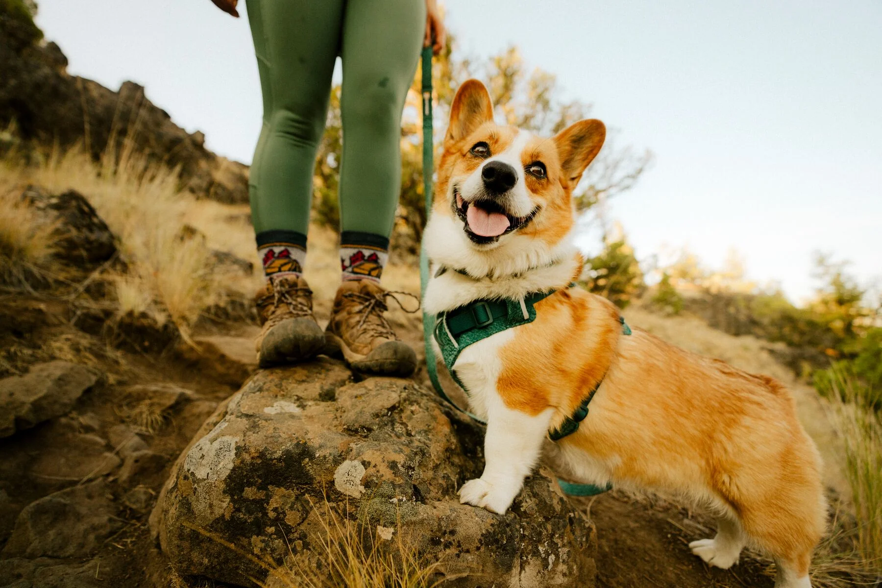 Ruffwear - Front Range Flex Leash - Image 12