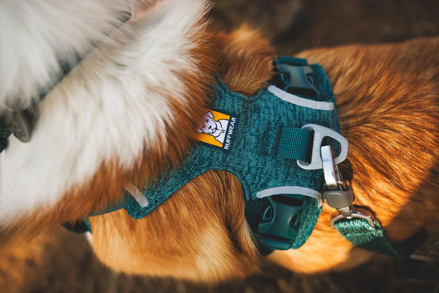 Ruffwear - Front Range Flex Leash - Image 7