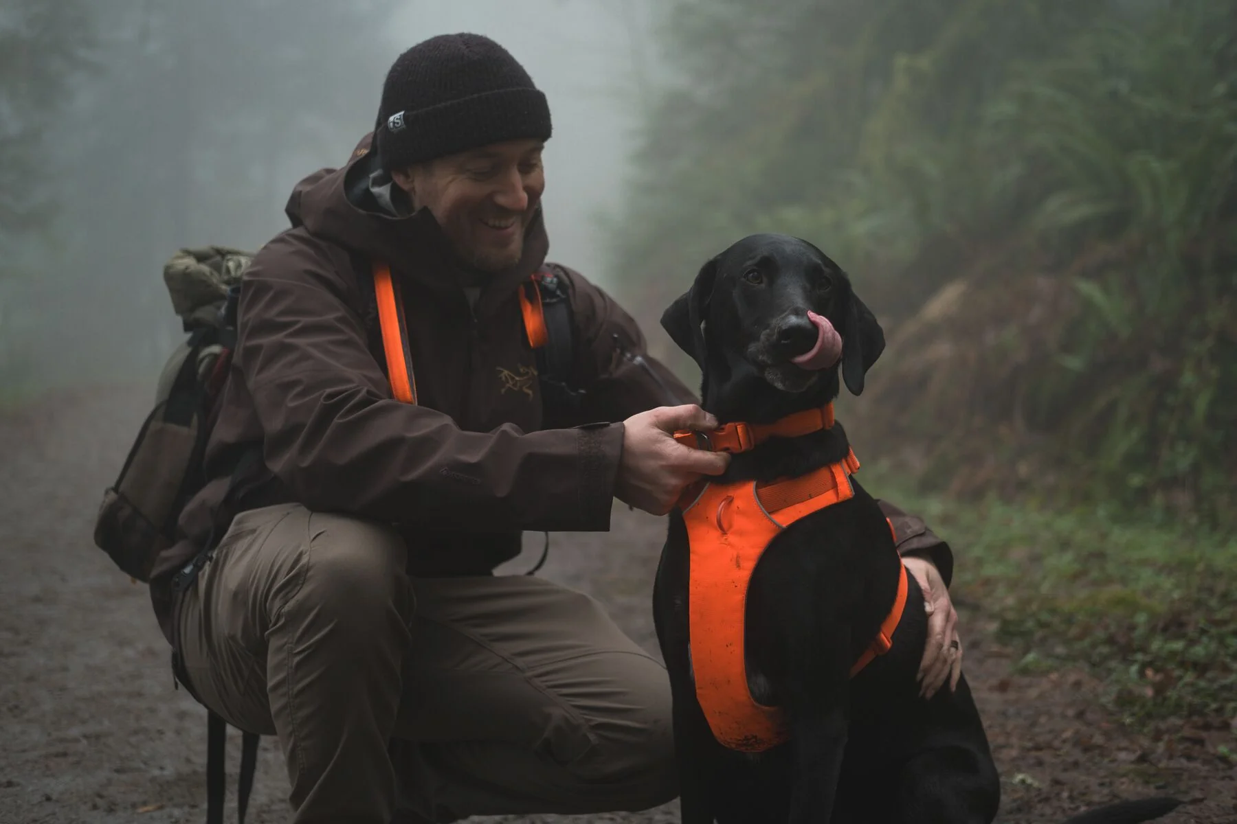Ruffwear - Front Range Harness - Image 17