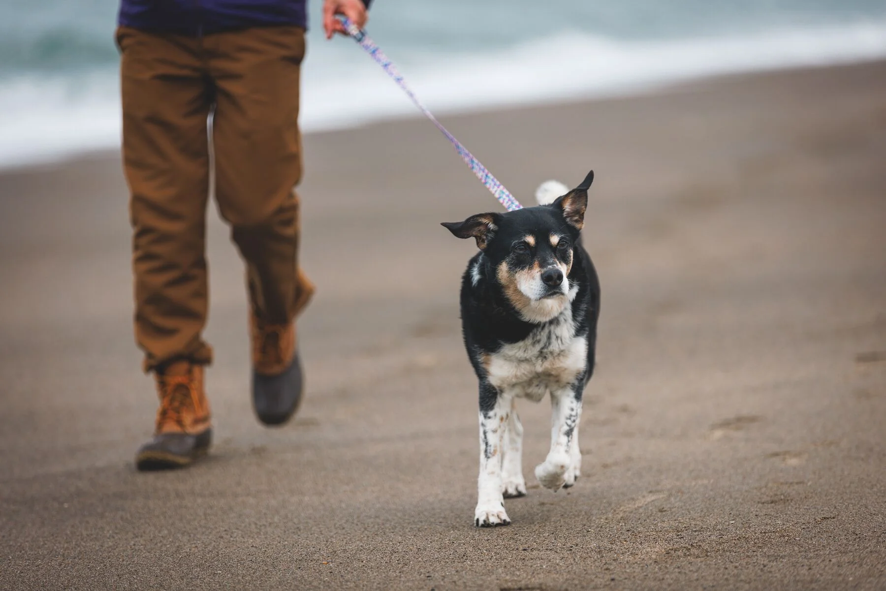 Ruffwear - Front Range Leash - Patterned Designs - Image 8