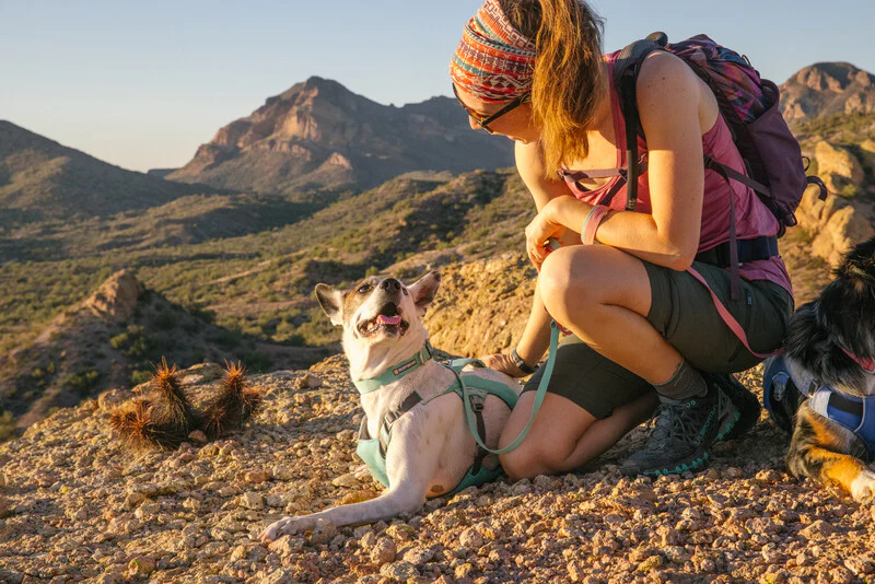 Ruffwear - Hi & Light Collar - Image 7