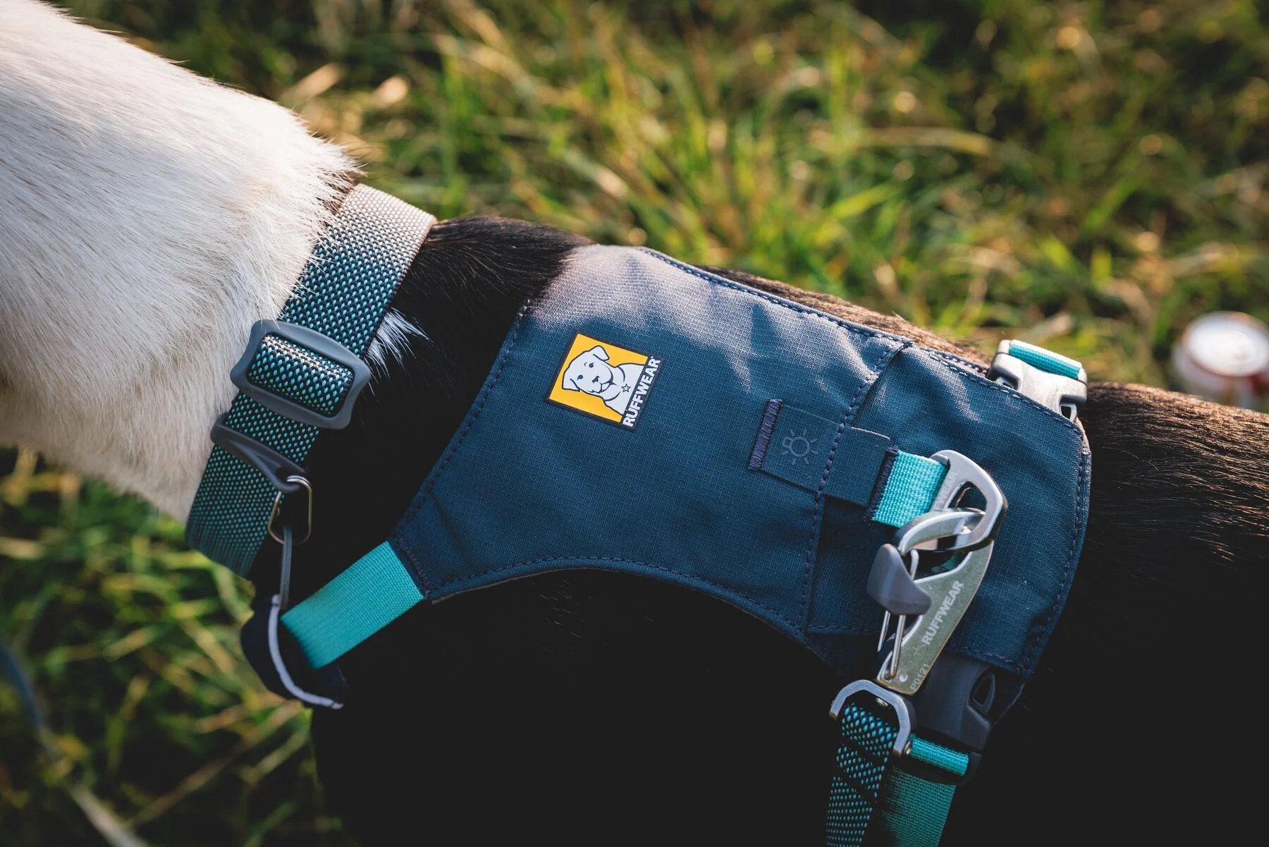 Ruffwear - Hi & Light Harness - Image 9