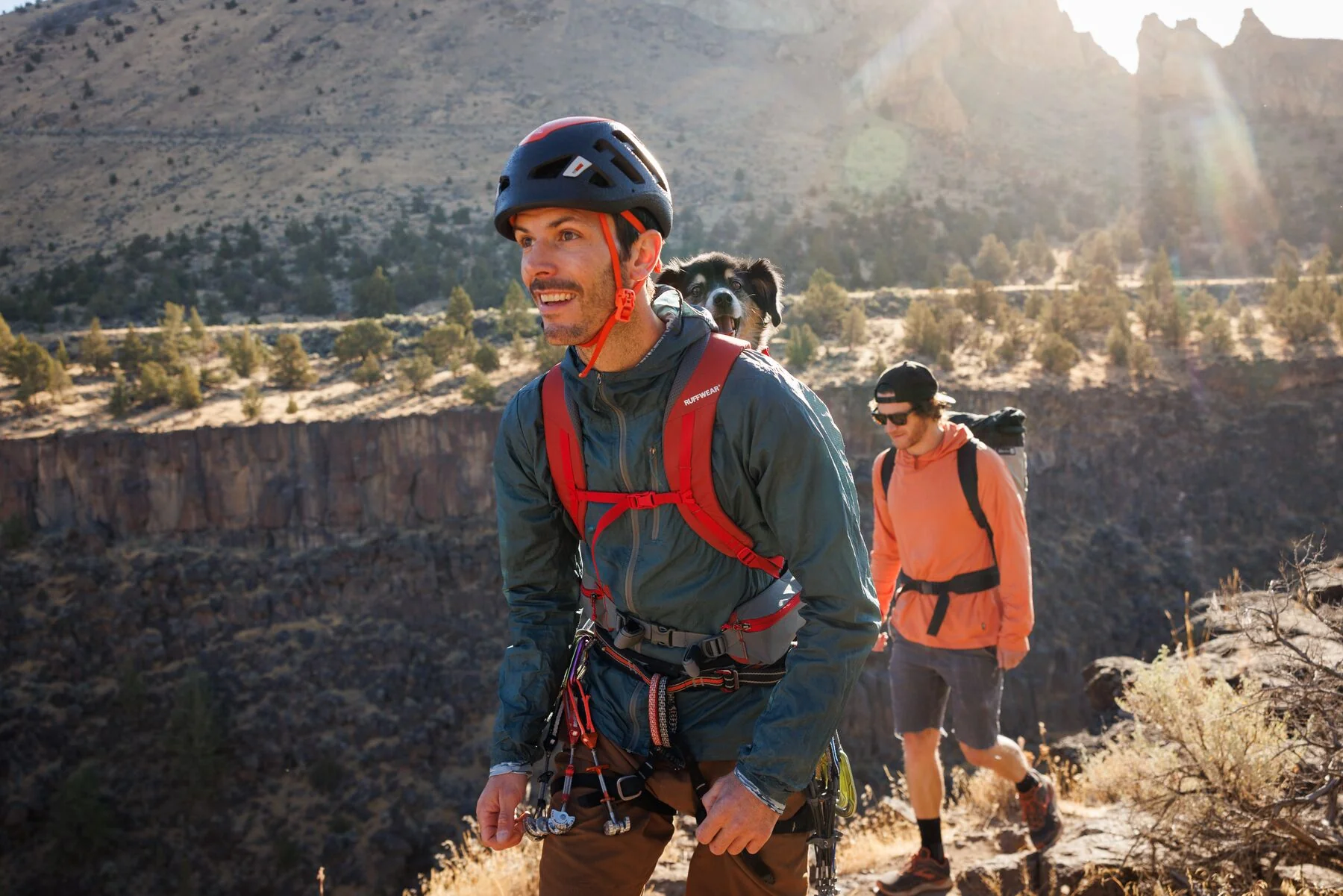 Ruffwear - Hitch Hiker Dog Carrier - Image 10
