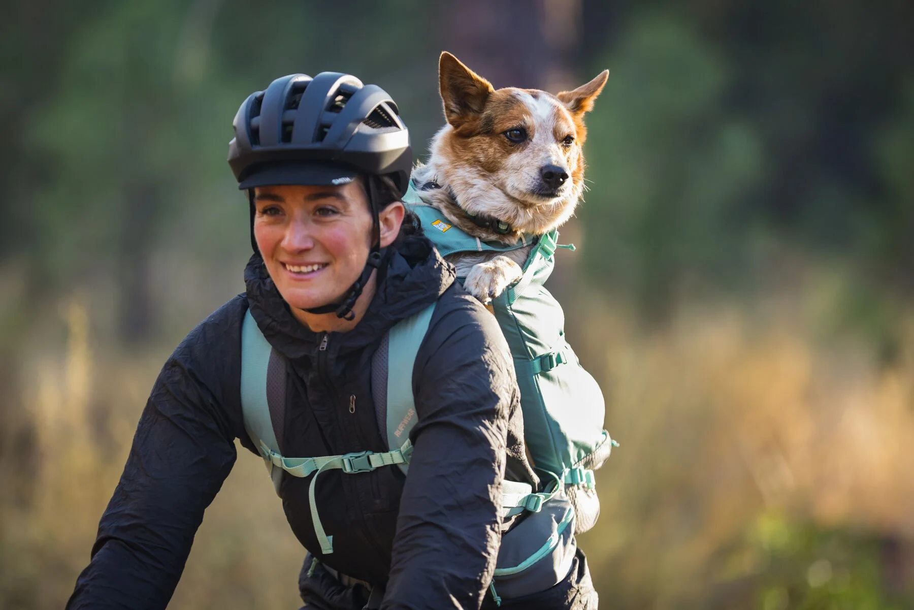 Ruffwear - Hitch Hiker Dog Carrier - Image 8