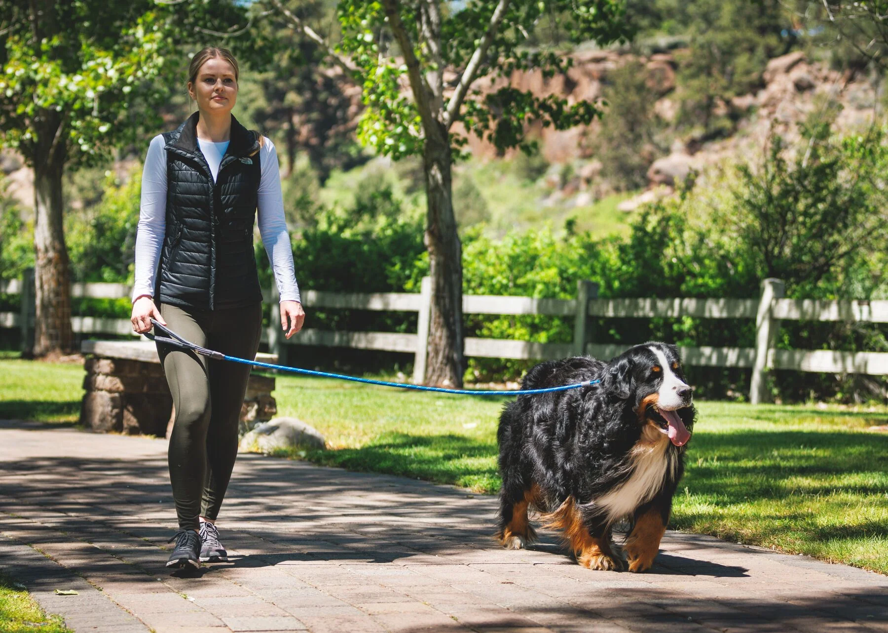 Ruffwear - Just-a-Cinch - Image 3