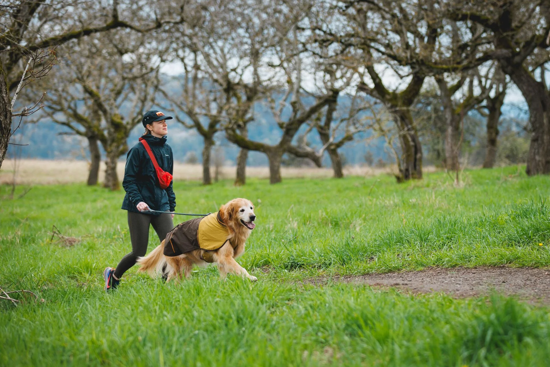 Ruffwear - Knot-A-Leash - Image 5