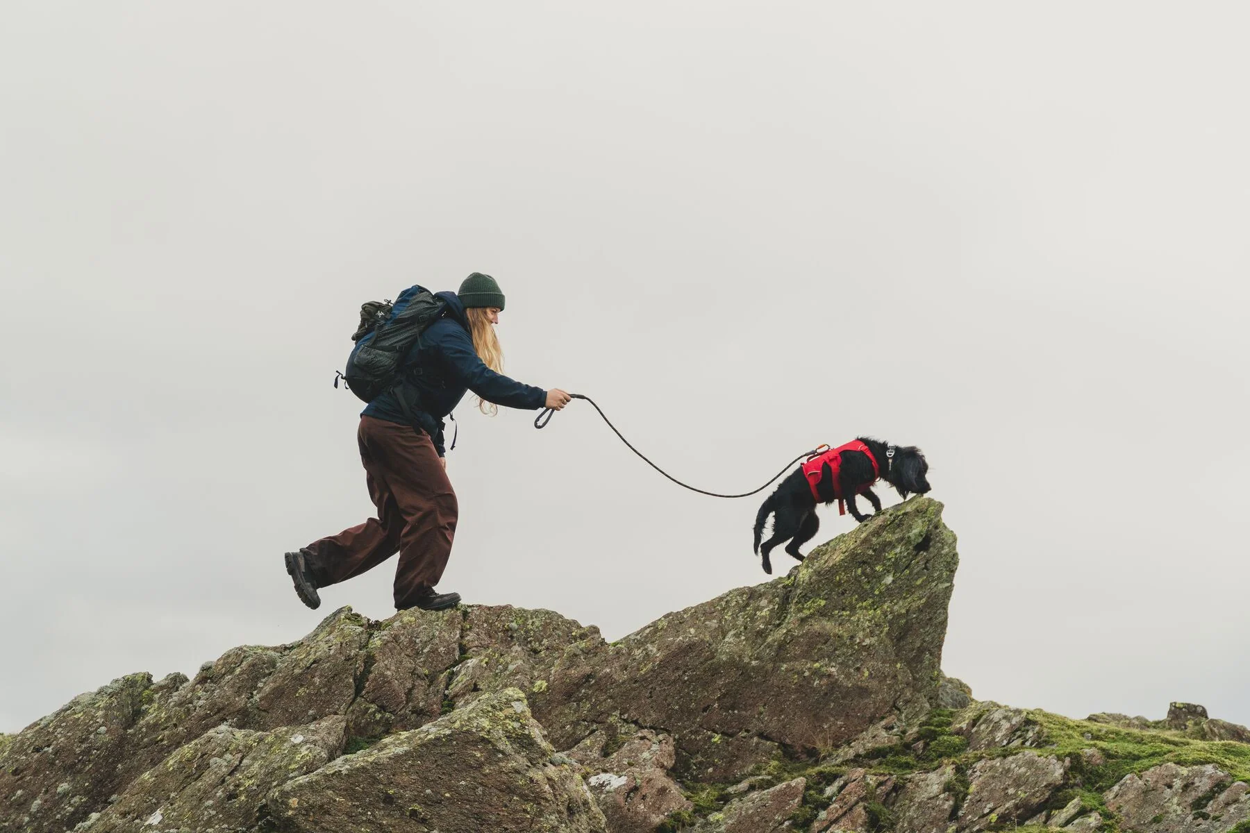 Ruffwear - Knot-A-Leash - Image 7