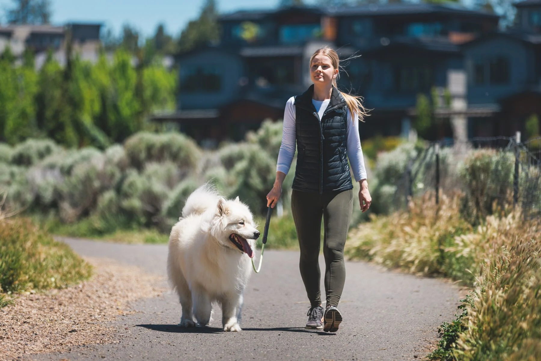 Ruffwear - Knot-A-Long - Image 5