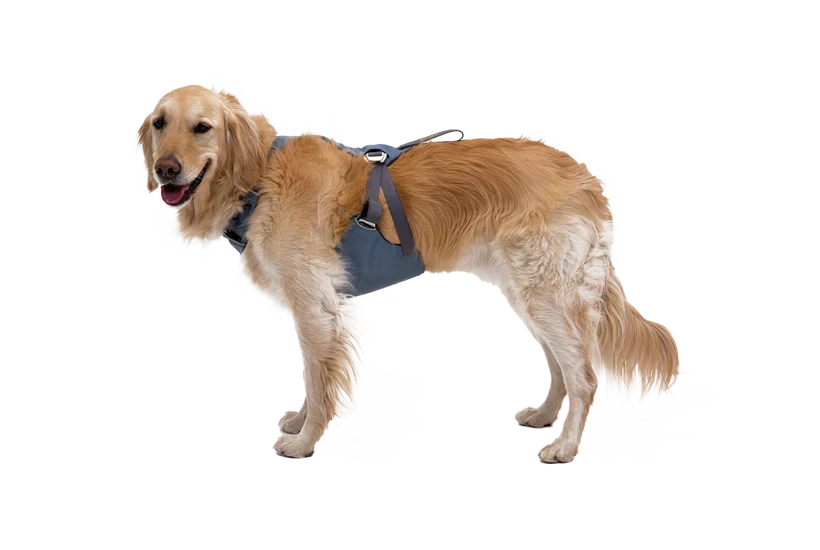 Ruffwear - Load-Up Harness - Image 5