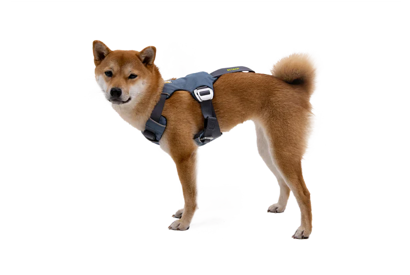 Ruffwear - Load-Up Harness - Image 6