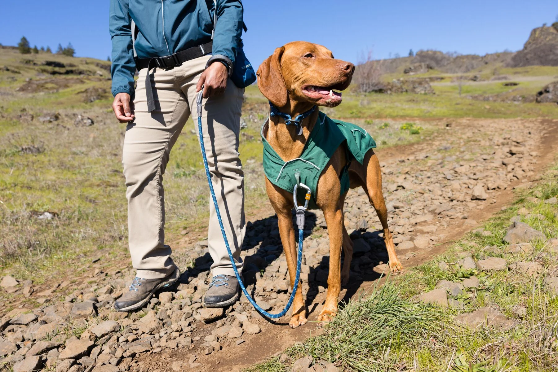 Ruffwear - Overcoat Fuse *CLEARANCE* - XL ONLY - Image 5