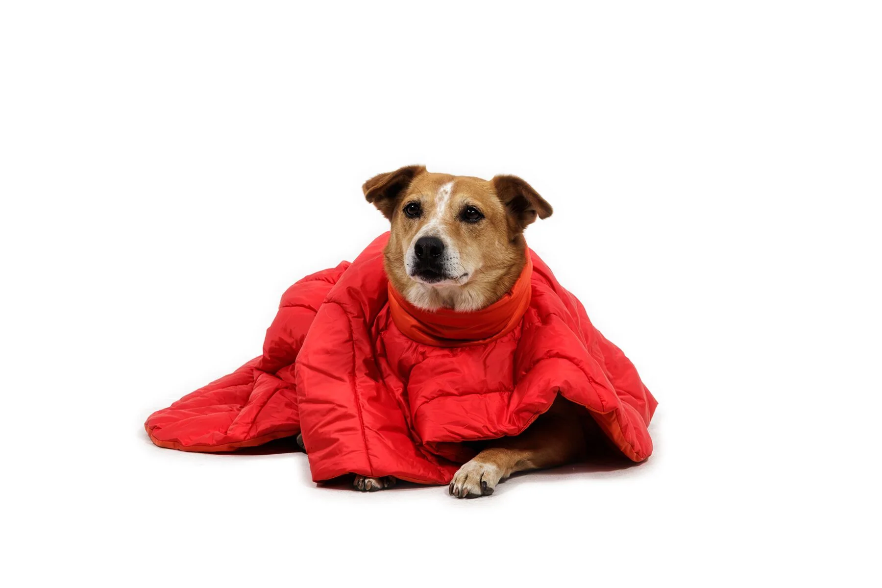 Ruffwear - Palisades Poncho - Image 4