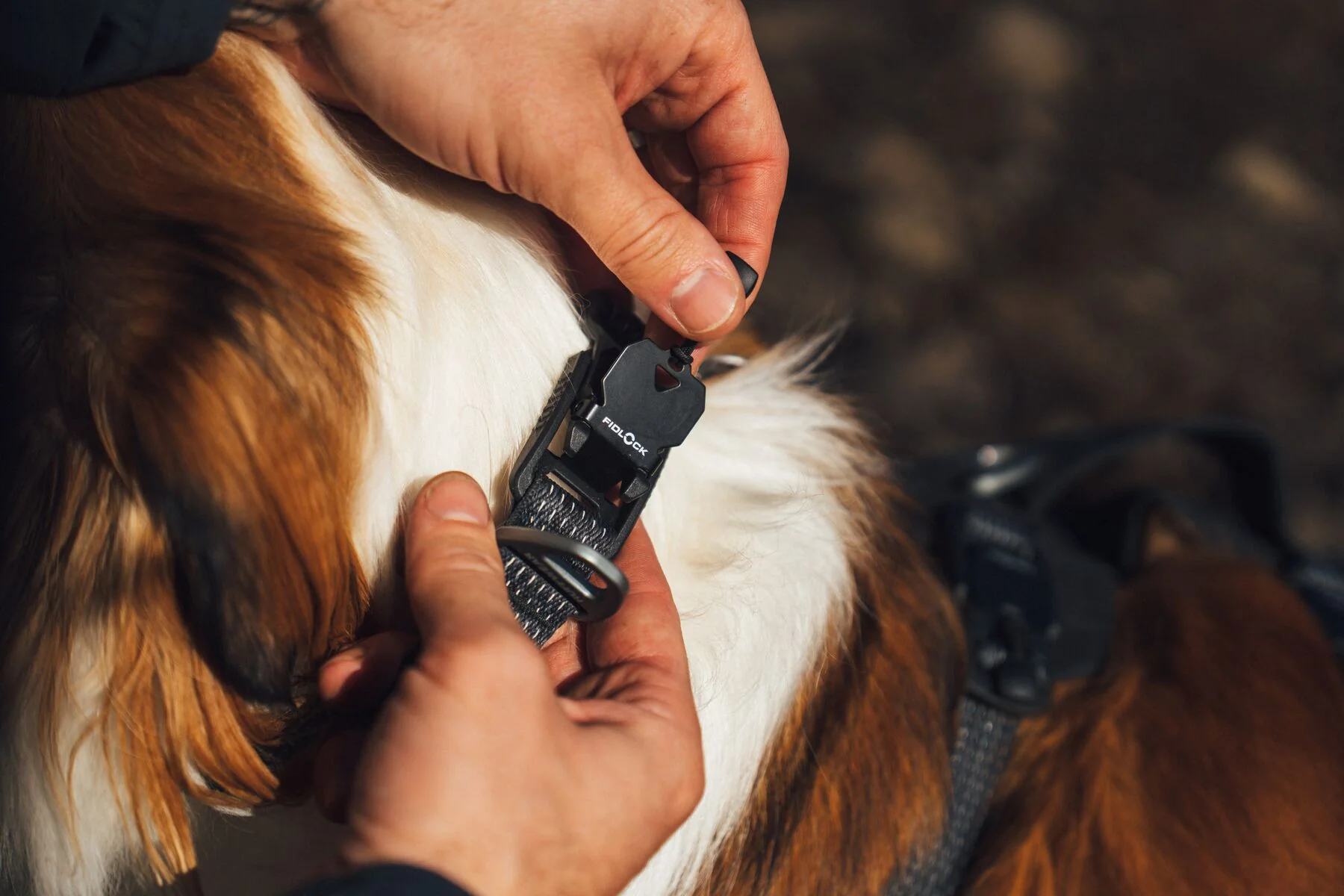 Ruffwear - Ridgeline Collar - Image 3