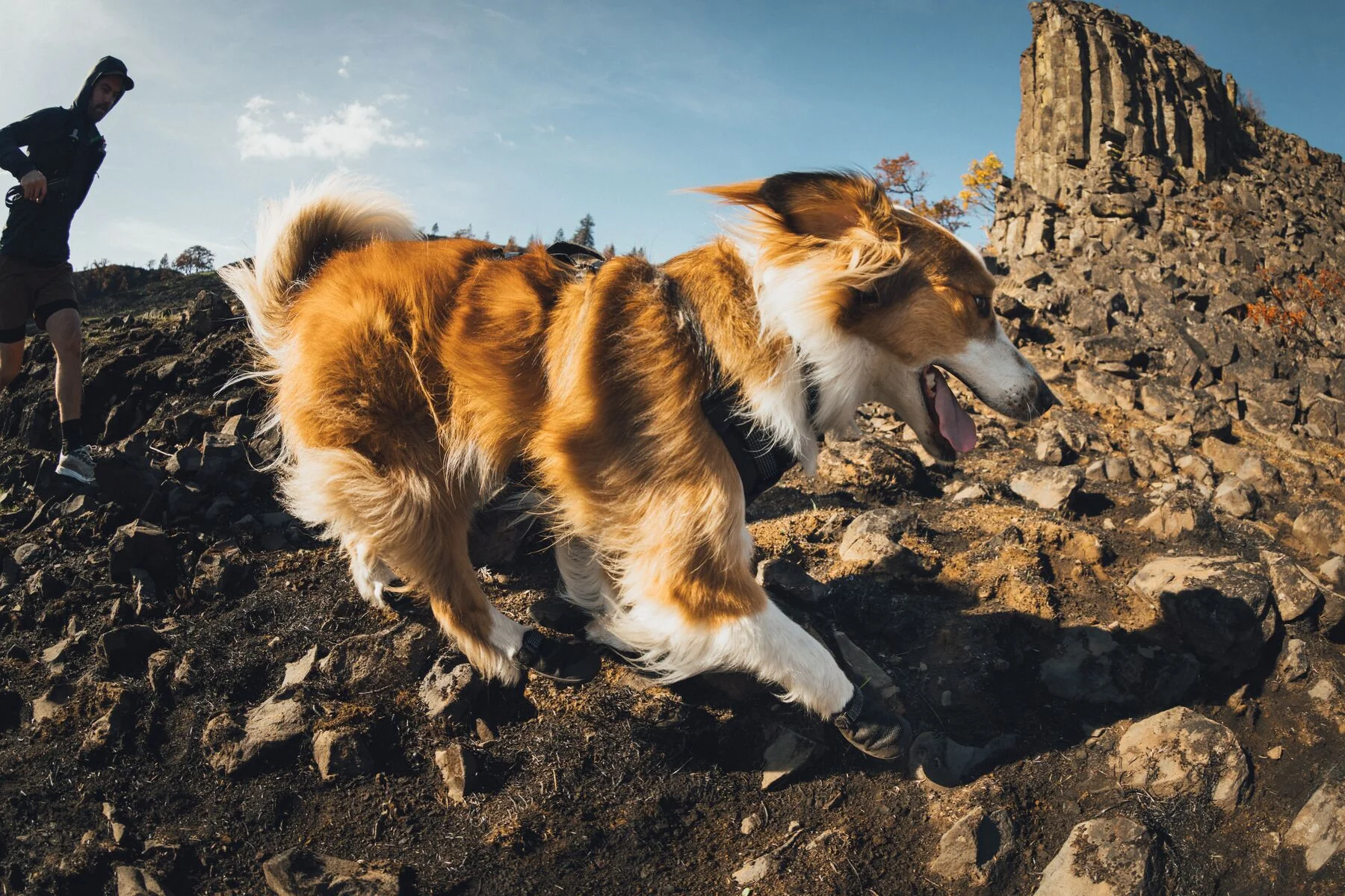 Ruffwear - Ridgeline Collar - Image 4