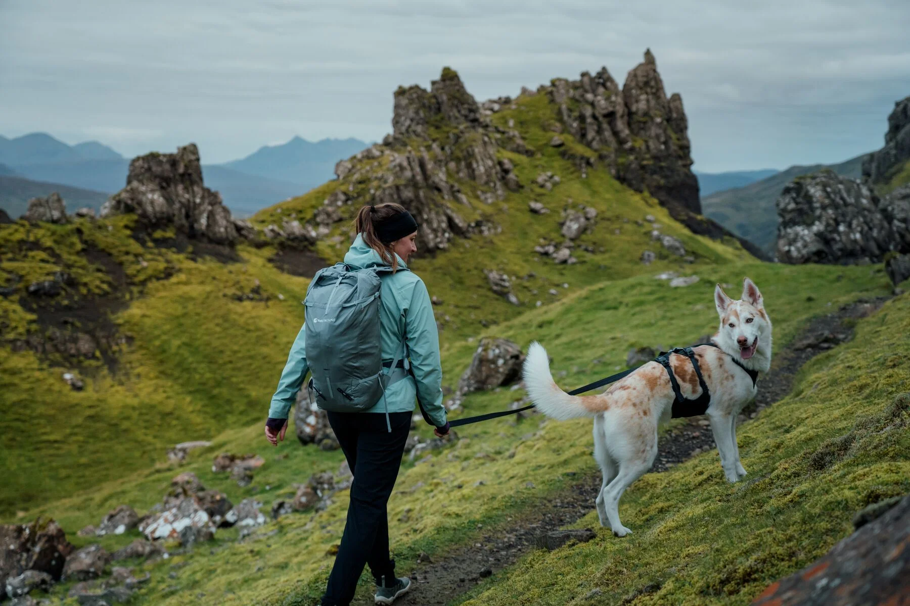 Ruffwear - Ridgeline Harness - Image 5