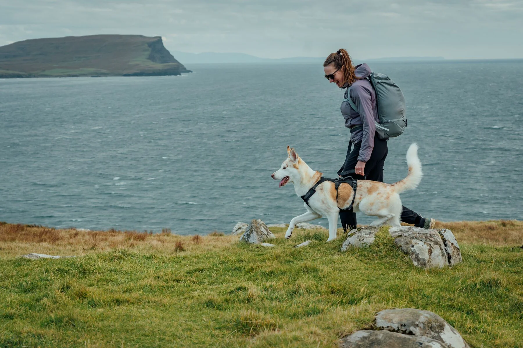 Ruffwear - Ridgeline Harness - Image 6
