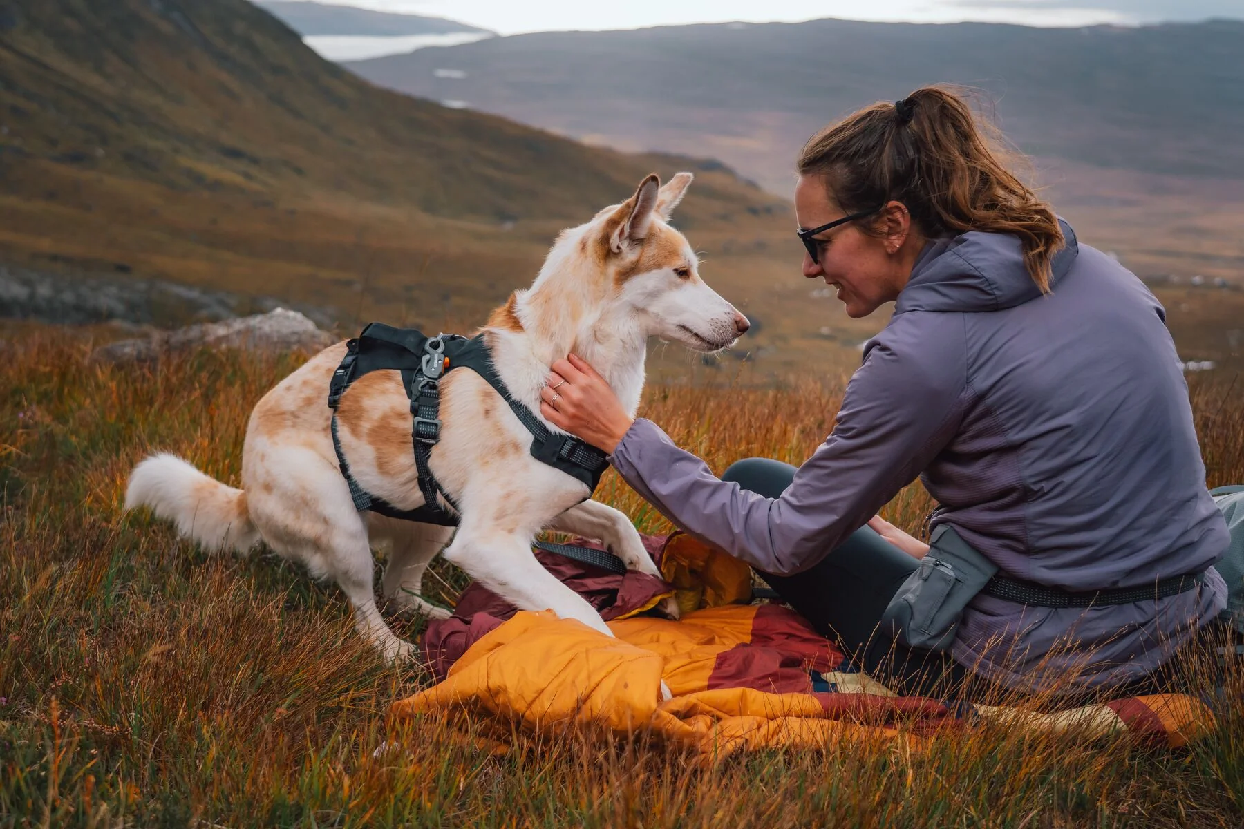 Ruffwear - Ridgeline Harness - Image 7