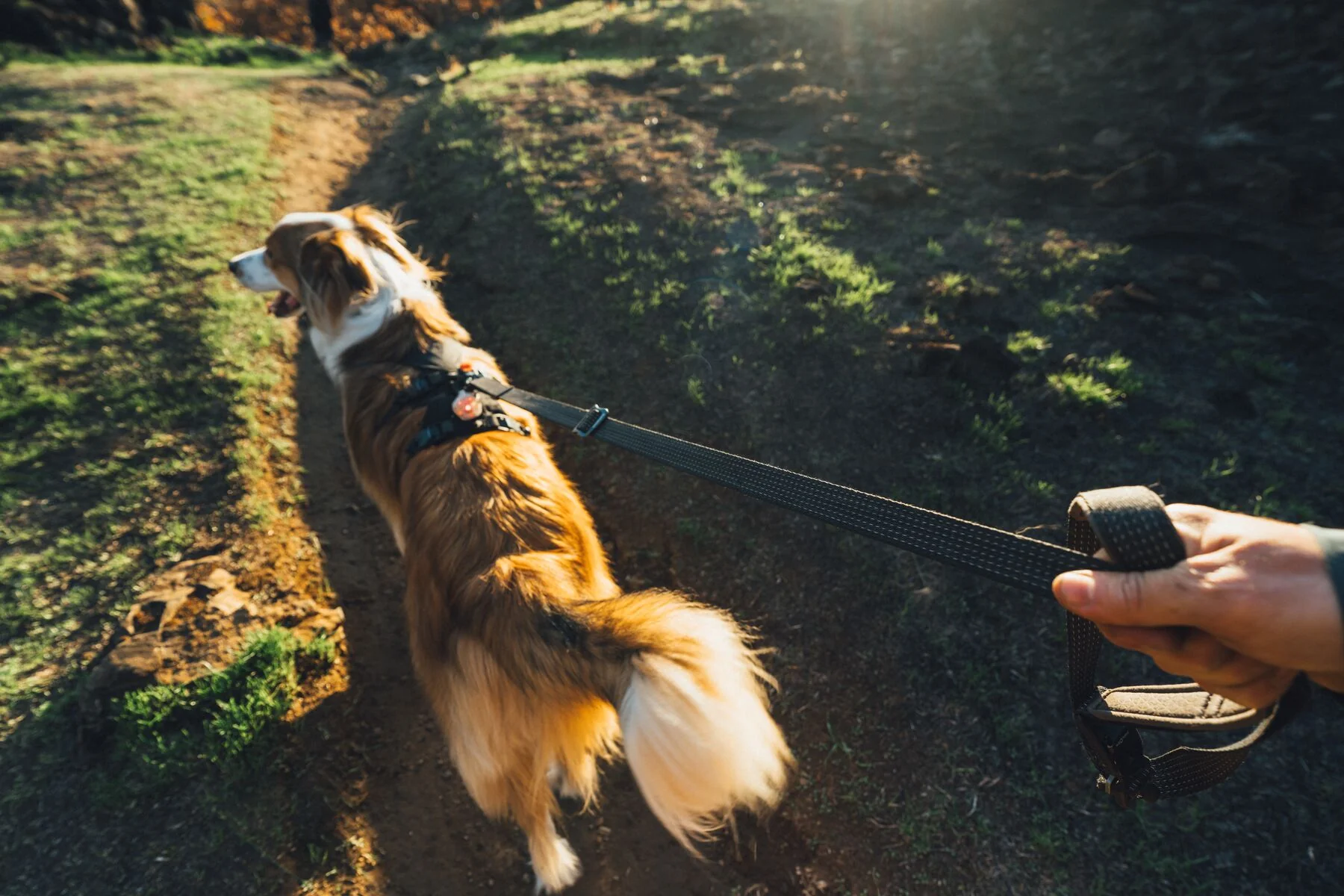 Ruffwear - Ridgeline Leash - Image 7