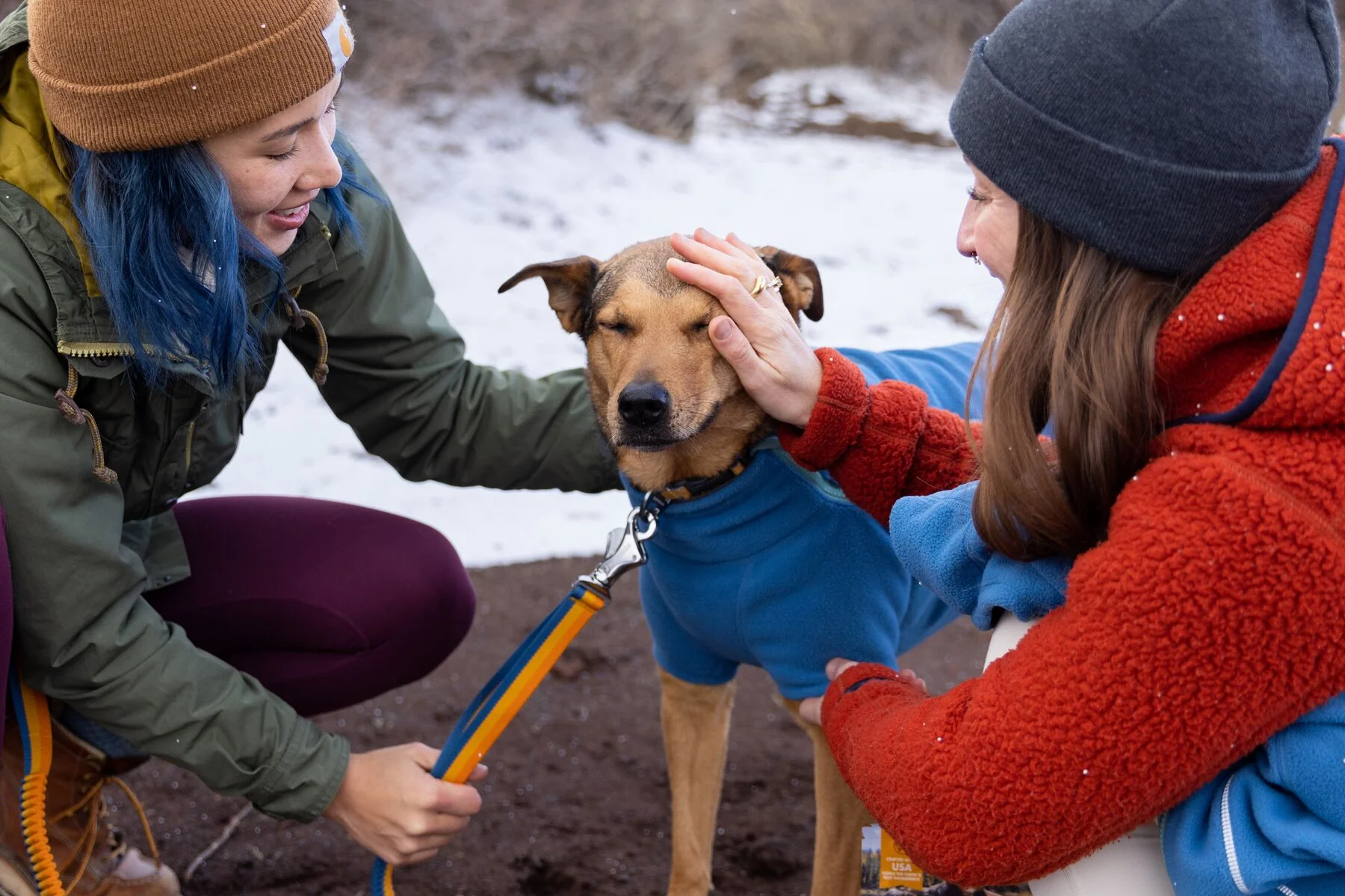 Ruffwear - Roamer Bungee Leash - Image 8